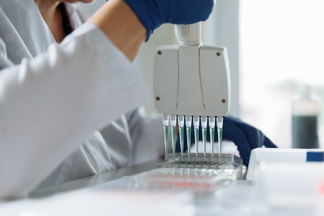 A researcher wearing blue gloves uses a multi-channel pipette to dispense liquid into a 96-well plate in a laboratory.