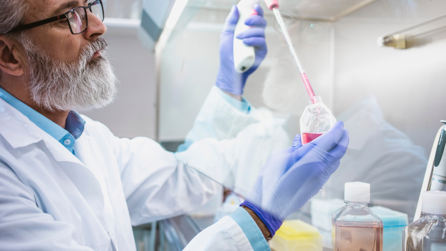 Scientist in a cleanroom using a pipette to transfer liquid into a flask, wearing gloves, lab coat, and protective eyewear.